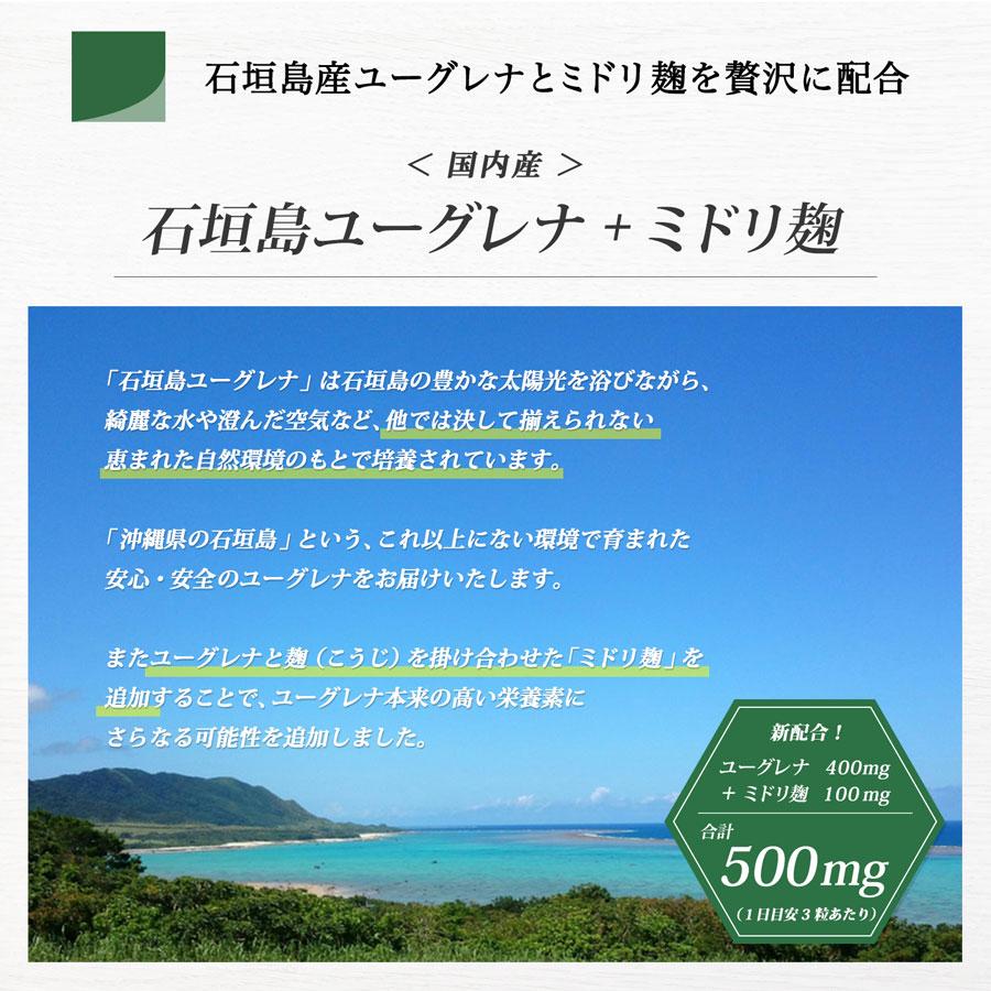 メール便送料無料/石垣島の恵み健やかユーグレナ/30日分/90粒入り( 配送後到着まで1-2日(一部エリアを除く))｜anvita｜03