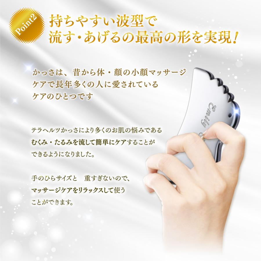エステ EBM イービーエム テラヘルツ カッサ 0.jpg