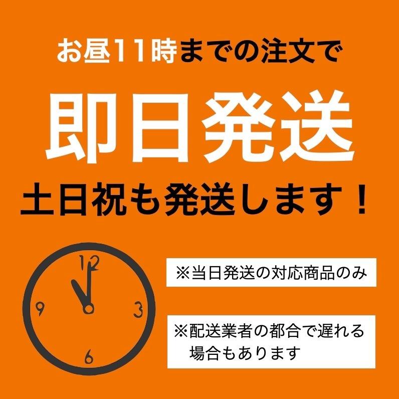 セットアップ メンズ レディース 半袖 秋 無地 ジャージ メンズ ルームウェア 大きいサイズ 上下 半袖 半ズボン 薄手 シンプル 吸水 速乾 部屋着 ポリエステル|any-shop|02