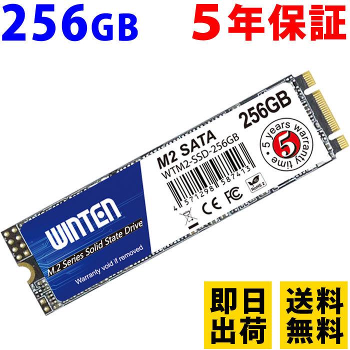 SSD M.2 256GB 5年保証 新入荷 流行 即日出荷 送料無料 トップ WTM2-SSD-256GB 2280 NANDフラッシュ搭載 説明書 日本語パッケージ 6083 3D エラー訂正機能 保証書付き SATA