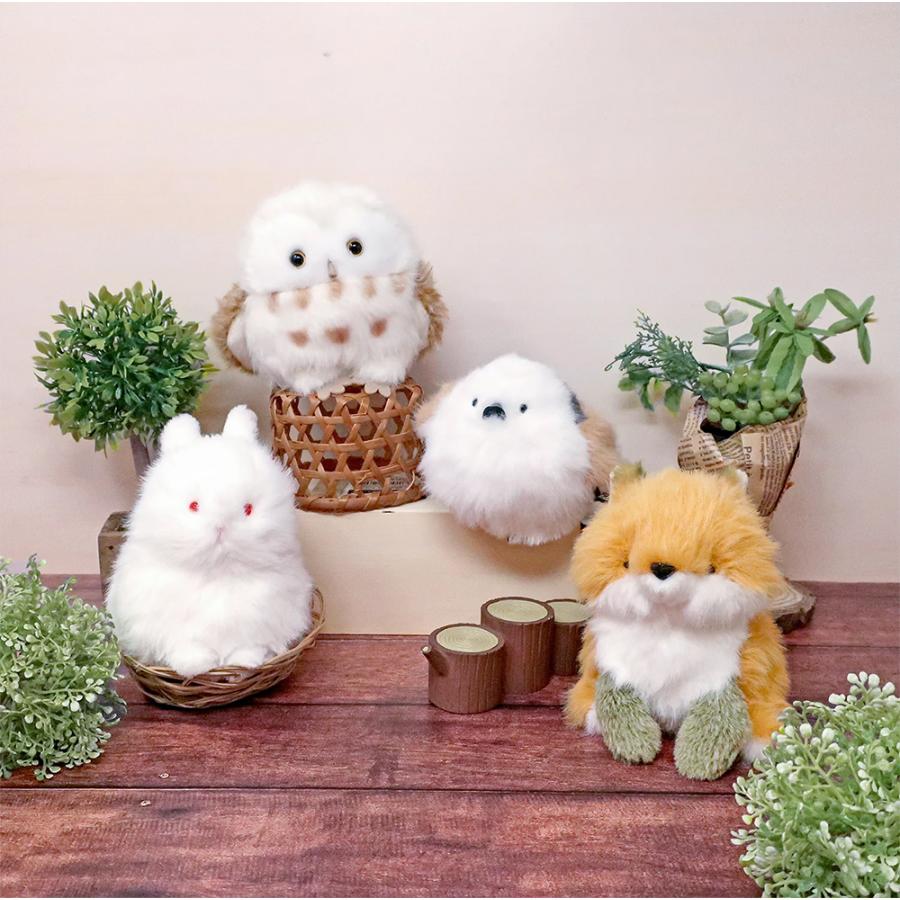 わたぽ ぬいぐるみ 新商品 内藤デザイン研究所 送料別 動物 フクロウ