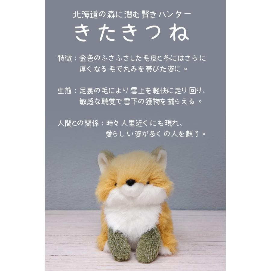 わたぽ ぬいぐるみ 新商品 内藤デザイン研究所 送料別 動物 フクロウ