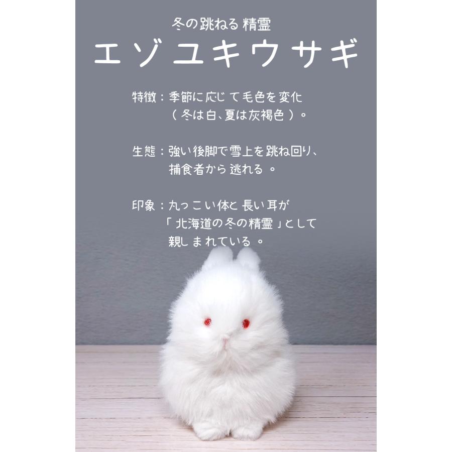 わたぽ ぬいぐるみ 新商品 内藤デザイン研究所 送料別 動物 フクロウ