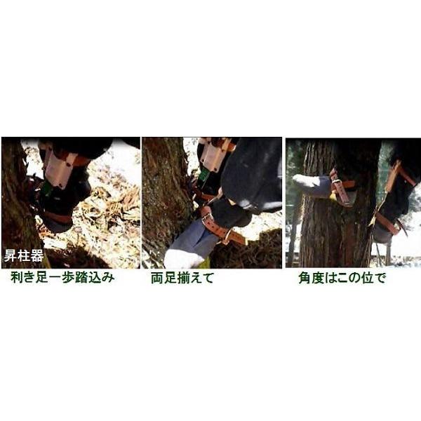 藤井電工 藤井電工昇柱器Aバンド「F-133」 「FG-1・FG-2」昇柱器を足に