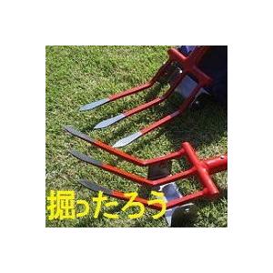 土壌の種類 (およびその特徴): 砂質、粘土質、湿気の多い、石灰岩