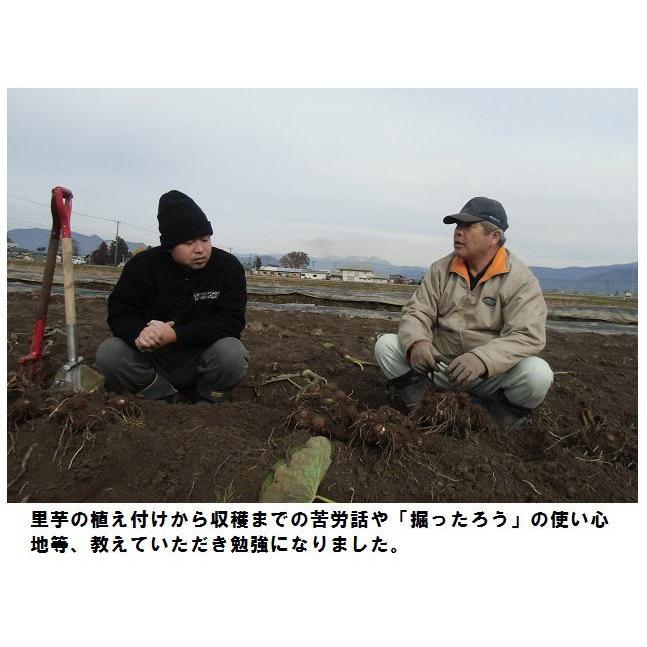 土壌の種類 (およびその特徴): 砂質、粘土質、湿気の多い、石灰岩