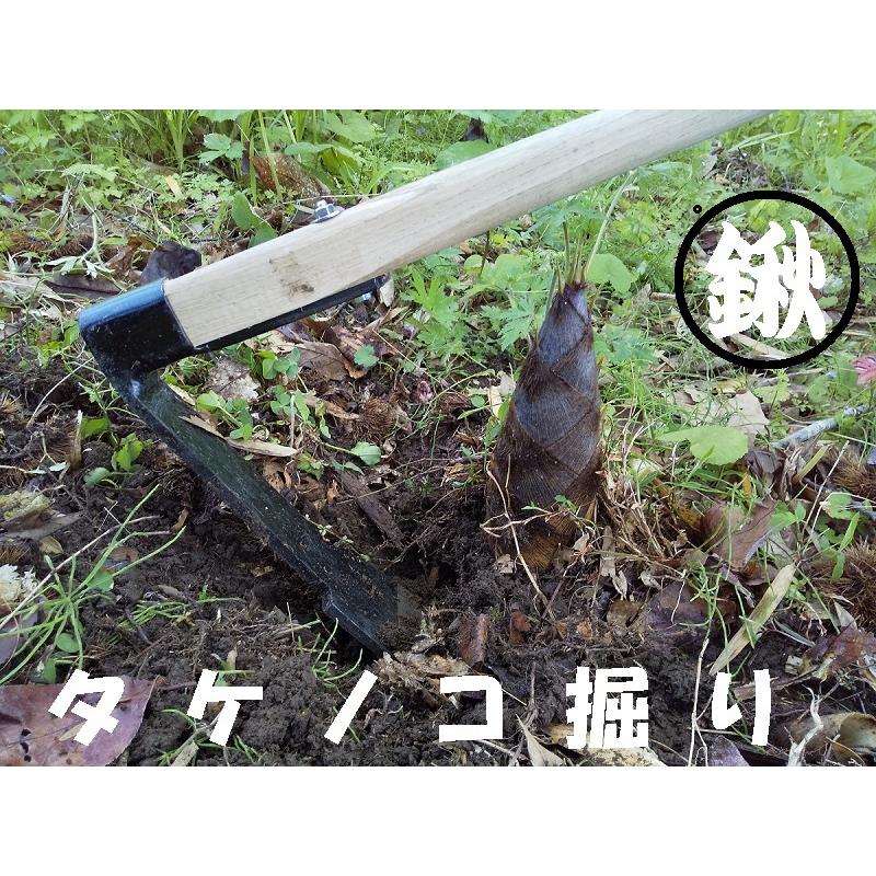 タケノコ掘り鍬 ストレート 刃長：約250mm 刃幅：約65mm 柄の長さ