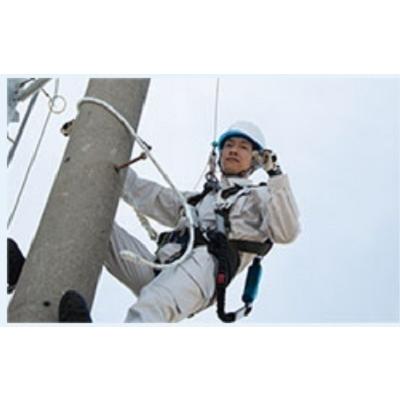 藤井電工 「WP-TD-527」 ランヤード ワイヤーなし 2100mm フックFS-101