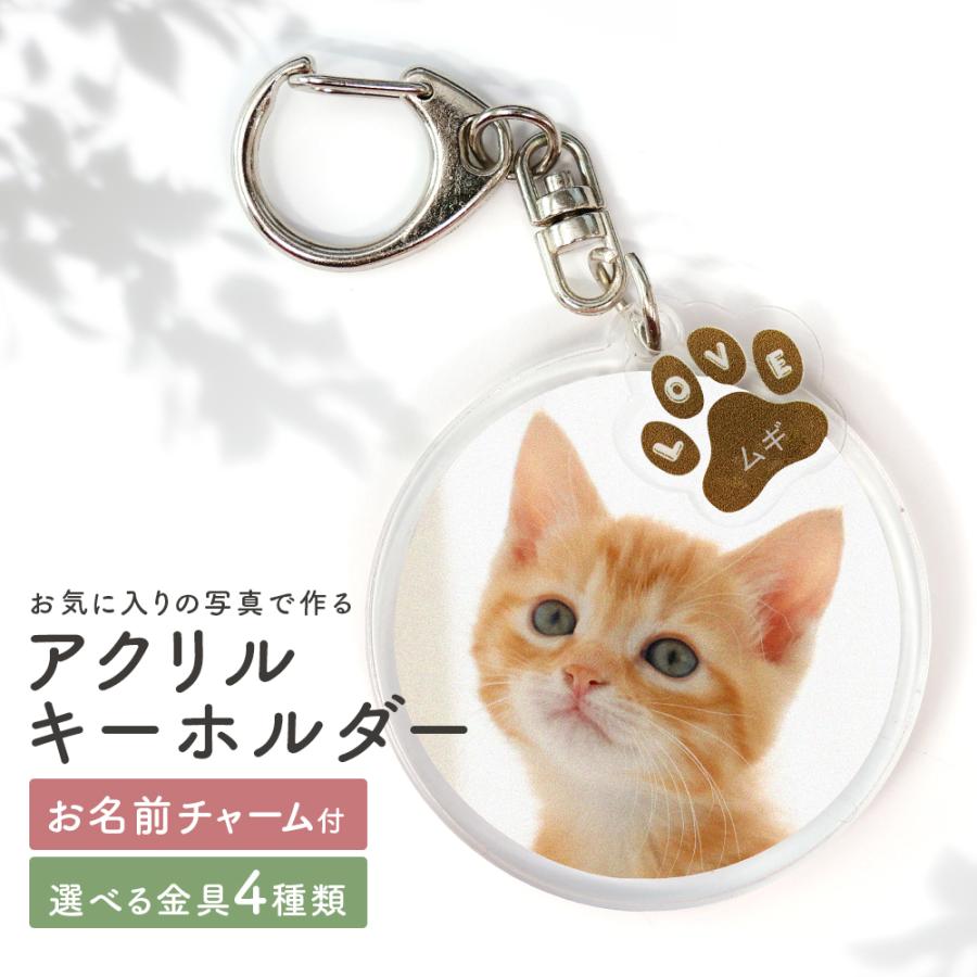 キーホルダー 名入れ 名前 写真 チャーム 犬 猫 ペット メモリアル グッズ おしゃれ かわいい レディース メンズ オリジナル アクセサリー プレゼント ギフト（Yahoo!・Anys カーグッズ&オリジナル雑貨）