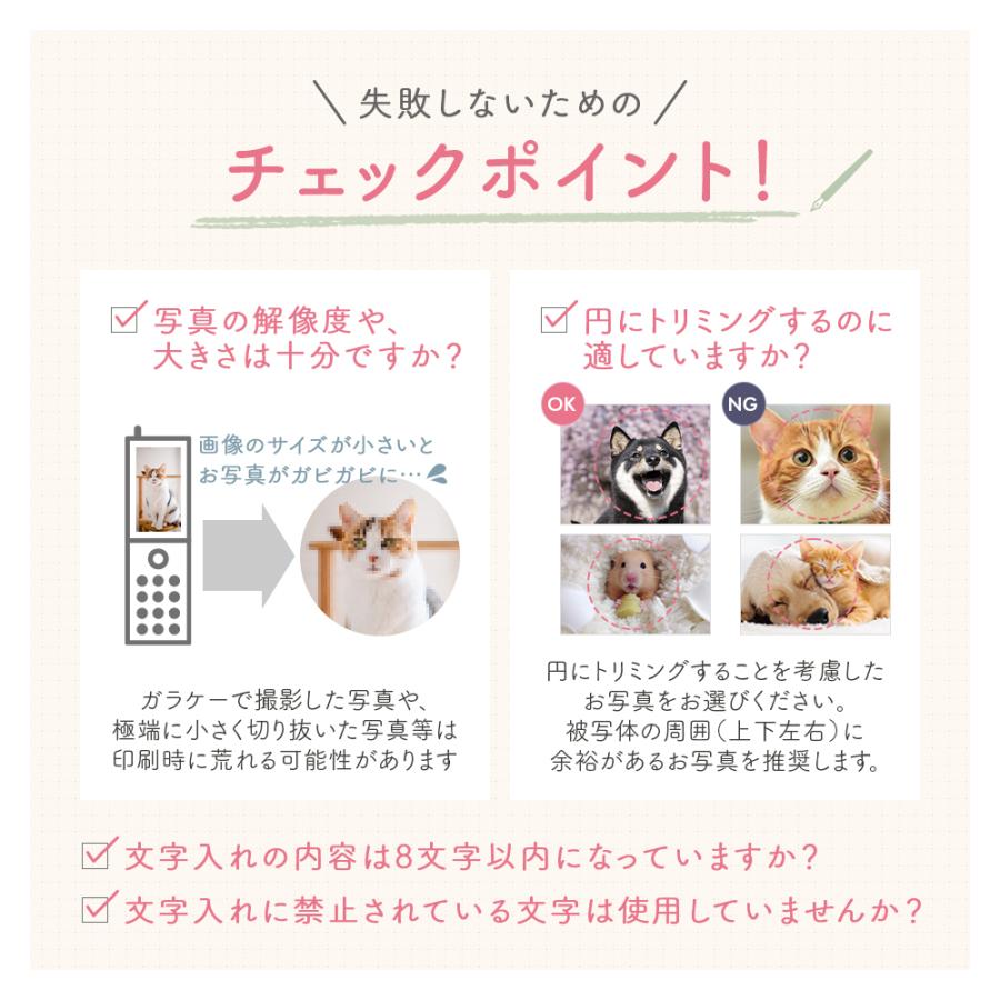 キーホルダー 名入れ 名前 写真 チャーム 犬 猫 ペット メモリアル