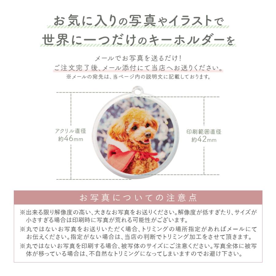 キーホルダー 名入れ 名前 写真 チャーム 犬 猫 ペット メモリアル