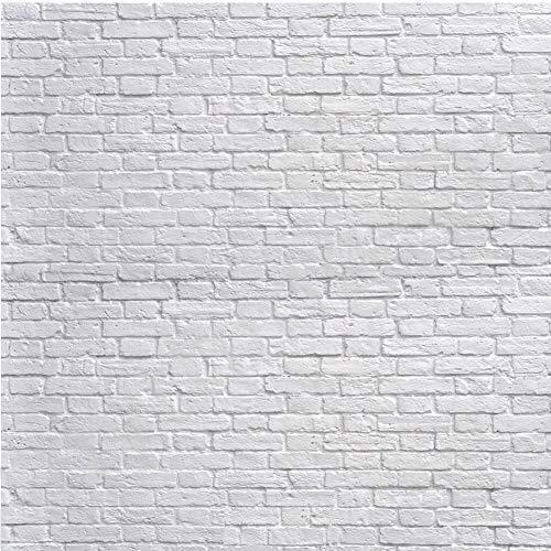 人気no 1 本体 新品 Sjoloon ホワイトレンガ壁背景 ホワイトレンガ写真背景 薄いビニール写真背景 スタジオ小道具 人気満点 Www Kingfishswimming Com