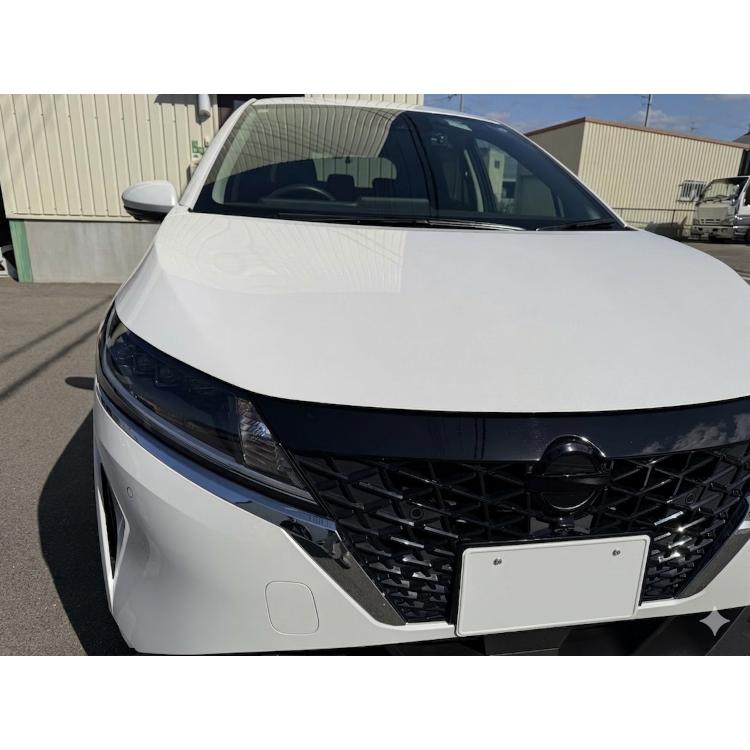 GENEFIELD ジェネフィールド NISSAN 3D マークレスエンブレム ピアノ