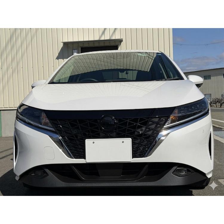 GENEFIELD ジェネフィールド NISSAN 3D マークレスエンブレム ピアノ
