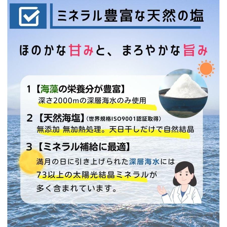 恵安の潮 2.2kg × 2袋セット お徳用パック ミネラル 恵安の塩 天日塩