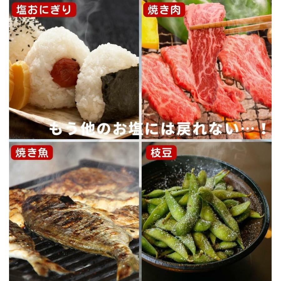 恵安の潮 2.2kg × 2袋セット お徳用パック ミネラル 恵安の塩 天日塩