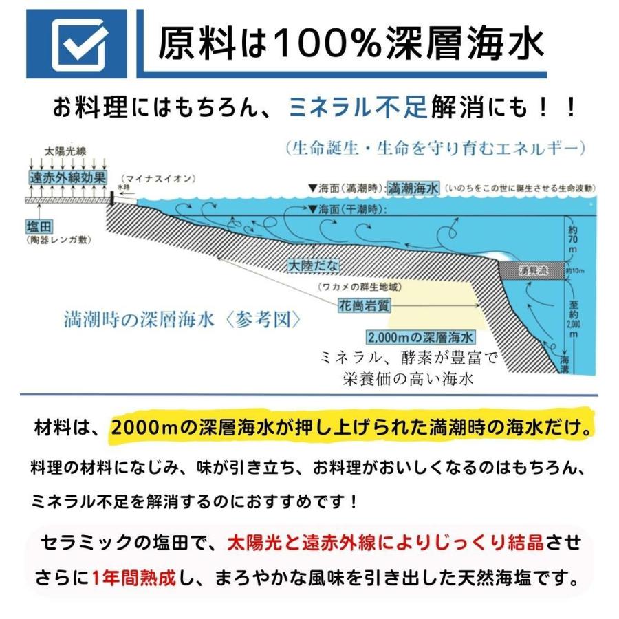恵安の潮 2.2kg × 2袋セット お徳用パック ミネラル 恵安の塩 天日塩