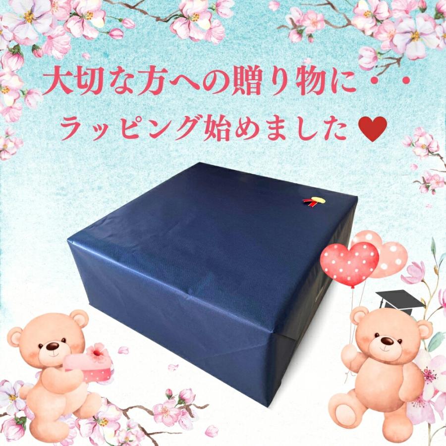 即日発送】 Aladdin X2 Plus 推奨テレビチューナーセット アラジン 