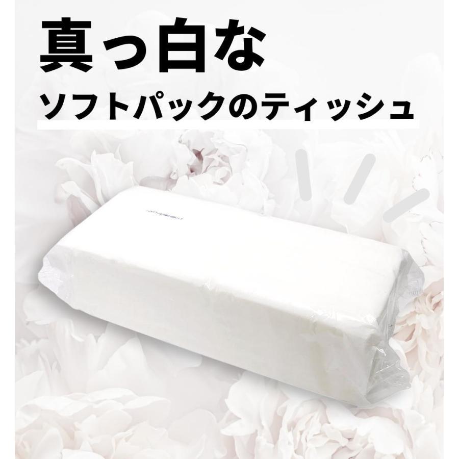 業務用 ティッシュペーパー 200組 ( 400枚 ) 10袋 / 送料無料 詰め替え
