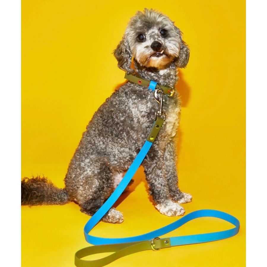 犬　リード　New york直輸入　ブランド Ware of the dog ブルー X カーキ　リード　Blue/Olive Coated Webbing Leash