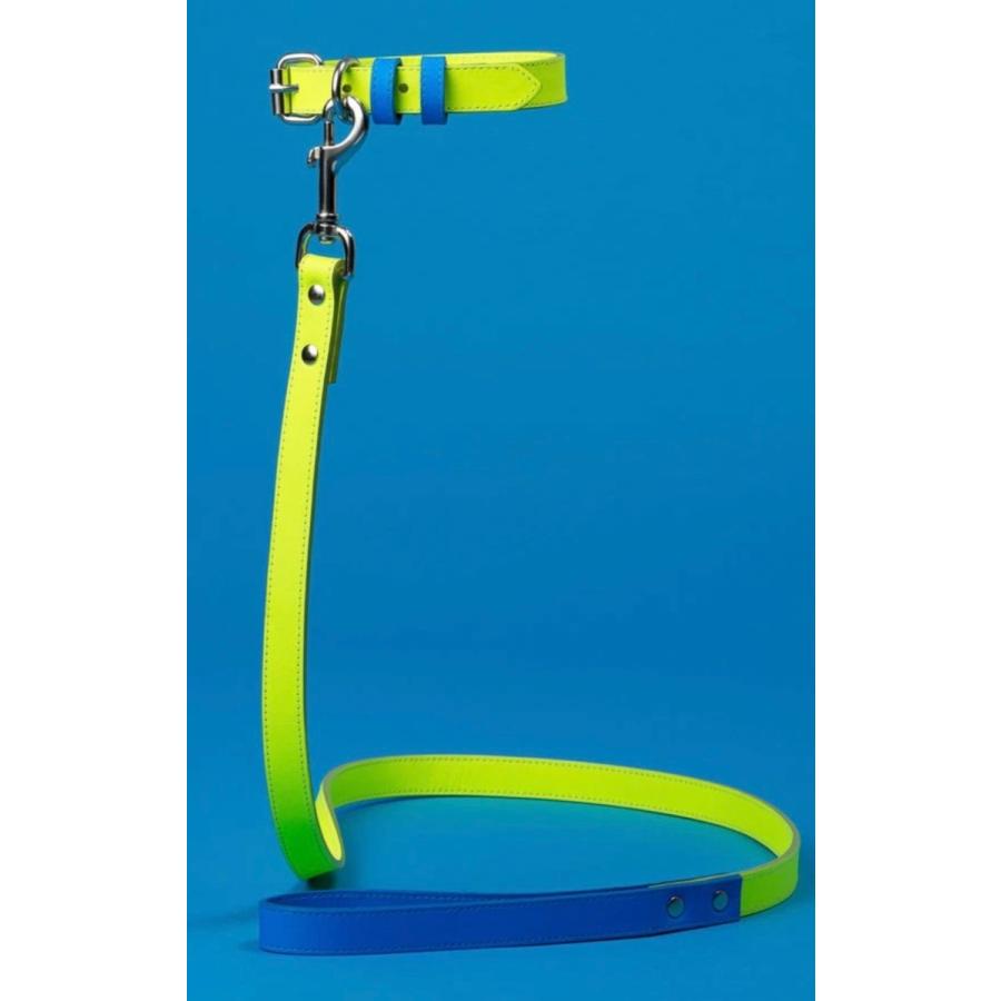 犬　リード　ブランド　New york直輸入 Ware of the dog ブルー X イエロー　超小型犬〜小型犬/Blue/Yellow Coated Webbing ”Leash"　For XS~Small sized dogs