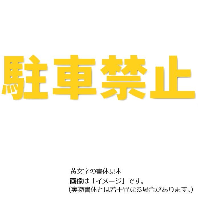 駐車場用路面表示シート 駐車禁止 黄色 大 500 500mm 5 043y 駐車場用文字シート Prain16 Y1 安全 サイン8 通販 Yahoo ショッピング