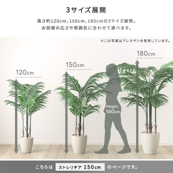 人工 観葉植物 ストレリチア 高150cm Mサイズ フェイクグリーン 観賞用 造花 植物 室内 ガーデニング グリーン ガーデン リビング 玄関 インテリア 送料無料の画像