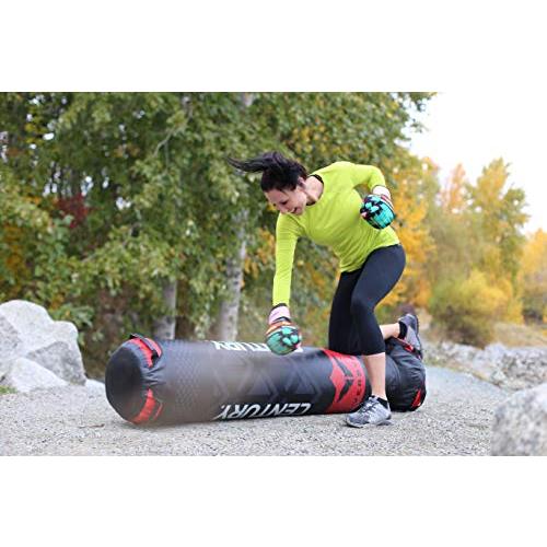 Century Versys Fight Simulator (10184 Bベース) Versys Simulator Century Fight (10184 Bベース)