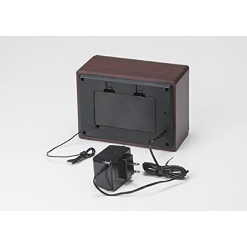 FESCO 唱歌ラヂオ DX100 AM/FMラジオ付き音楽プレイヤー SRDX-001 SRDX