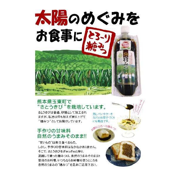 とろーり糖みつ0ｇ とうみつ 糖蜜 黒みつ くろみつ 黒蜜 九州 熊本県産 無添加 手作り 32 さとうきびおじさん家 通販 Yahoo ショッピング