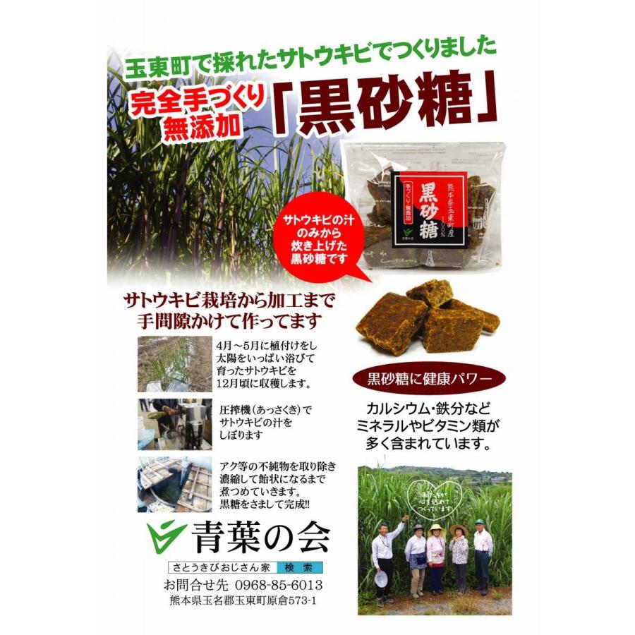 黒砂糖 40 さとうきびおじさん家 通販 Yahoo ショッピング