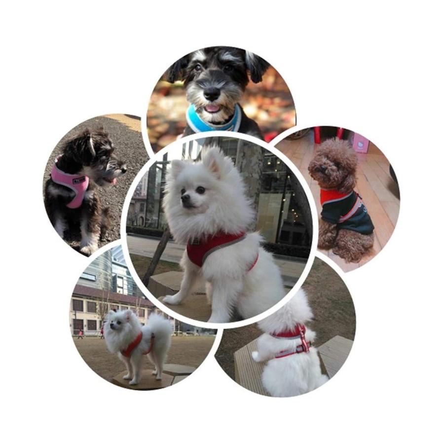 THAIN ハーネス 犬用ハーネス ペット用品 抜けない ベストハーネス 犬 犬 胴輪 かわいい 3M反射材料 訓練 ナイロン製 小型犬に向け 通気性｜aobashop｜03