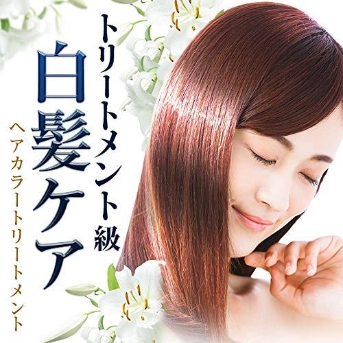 最大61％オフ！LPLP(ルプルプ) ヘアカラートリートメント ソフト