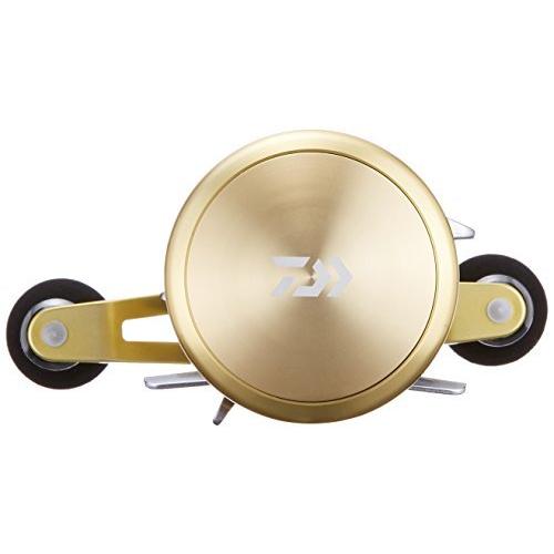 【日本未発売】 ダイワ(DAIWA) 両軸リール 14 ミリオネア 100 (2014モデル) 【RI7530978044】(26292円)