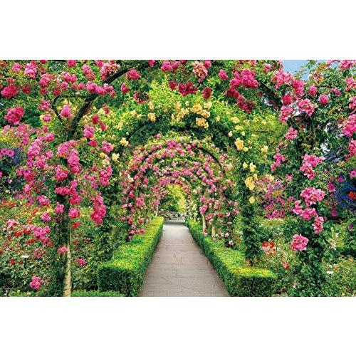 2016ピース ジグソーパズル ブッチャートガーデンの花のトンネル ベリースモールピース (50x75cm)｜aobashop