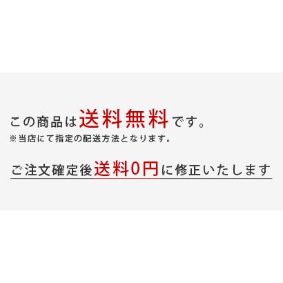 販売終了■トレイ フィッシュ Bengt&Lotta ベングト&ロッタ スウェーデン お盆 送料200円 1万円以上送料無料 |  | 13