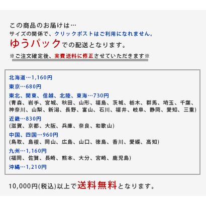 販売終了■マグカップ 鳩 Lサイズ HATO Departure letter クリア ホワイト マルチカップ ハト 1万円以上送料無料 クリックポスト不可 |  | 06