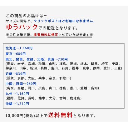 販売終了■アイアンベル ペンギン ドアベル 玄関チャイム アンティーク 1万円以上送料無料 クリックポスト不可｜aodama-zakka｜07