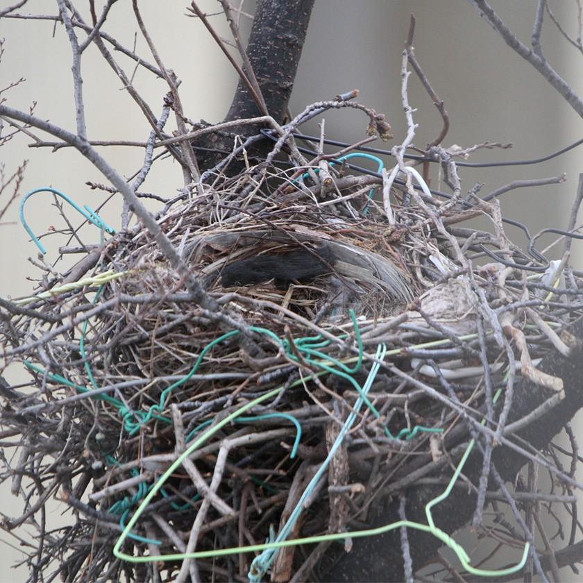 ガーゼポーチ カラス morita MiW ペンケース 筆箱 送料200円 1万円以上送料無料 |  | 17