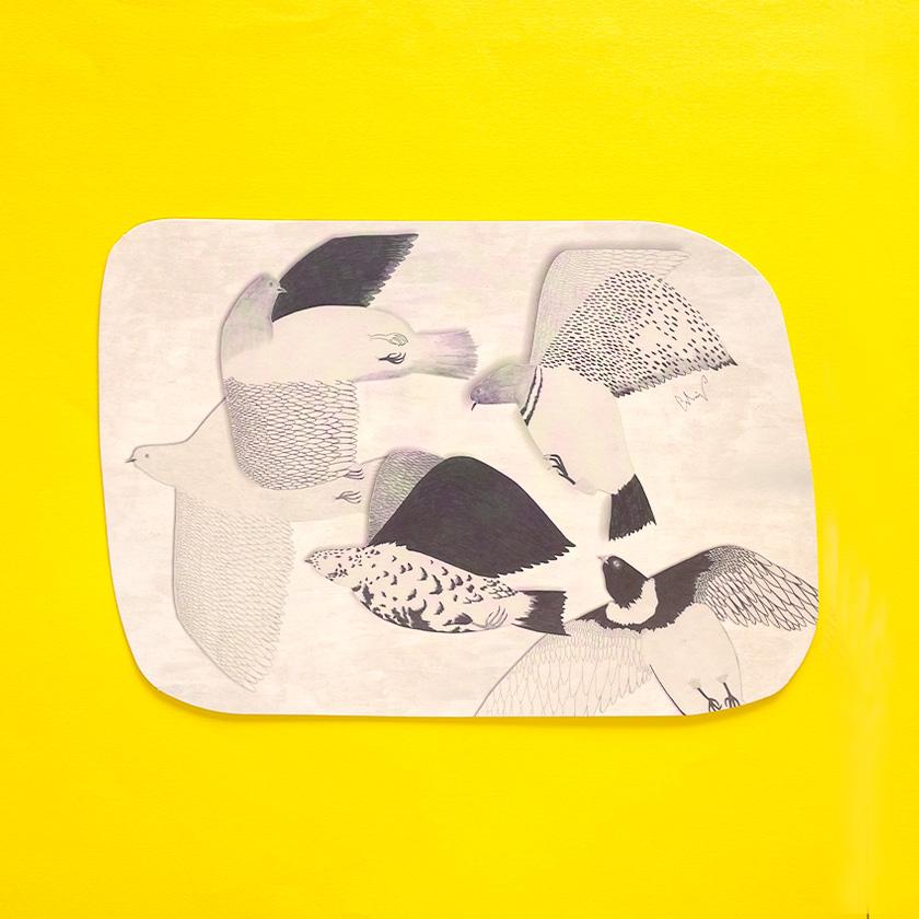 ポストカード ハト どこまでもどこまでもどこまでも moritaMiW カワラバト 絵葉書 ミニポスター 送料200円 1万円以上送料無料 | 