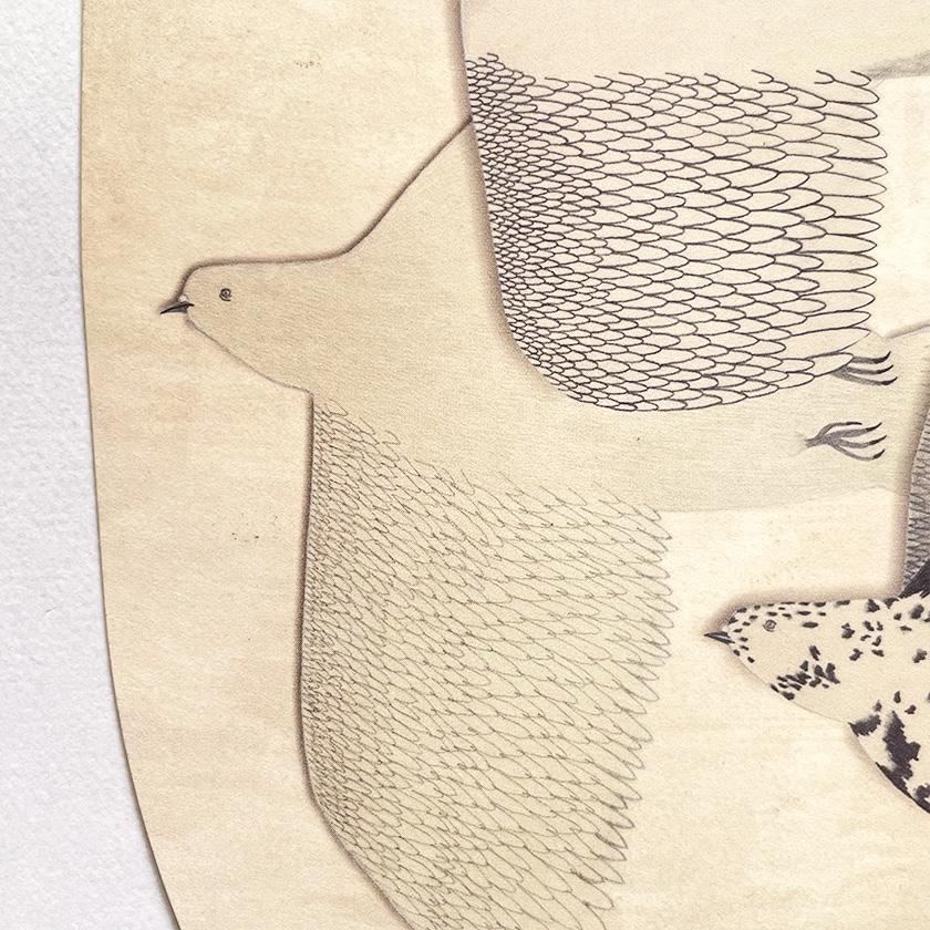 ポストカード ハト どこまでもどこまでもどこまでも moritaMiW カワラバト 絵葉書 ミニポスター 送料200円 1万円以上送料無料 |  | 05