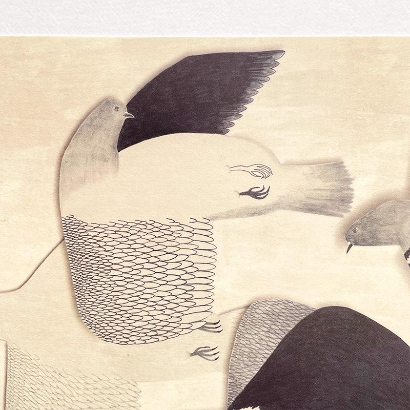 ポストカード ハト どこまでもどこまでもどこまでも moritaMiW カワラバト 絵葉書 ミニポスター 送料200円 1万円以上送料無料 |  | 06