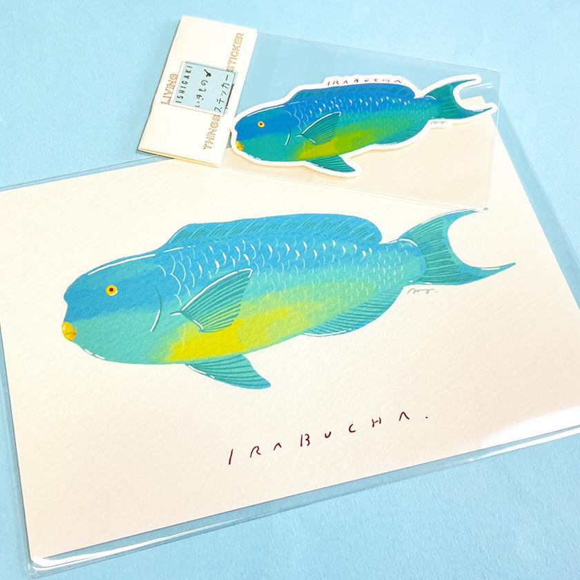 ポストカード 5枚セット イラブチャー・クマノミ・デバスズメダイ