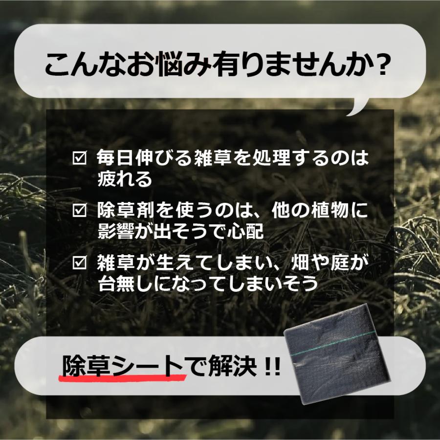 1x10m 除草マット 1×10m 1枚セット　ピン 20本付 芝生 雑草 土壌改善 防草シート ロール ガーデニング 庭 田んぼ 畑 雑草抑制 除草 人工芝 UV セット 送料無料 |  | 01