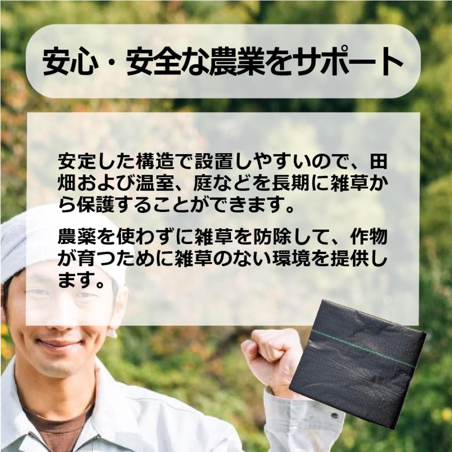 1x10m 除草マット 1×10m 9枚セット　ピン 20本付 芝生 雑草 土壌改善 防草シート ロール ガーデニング 庭 田んぼ 畑 雑草抑制 除草 人工芝 UV セット 送料無料 |  | 03