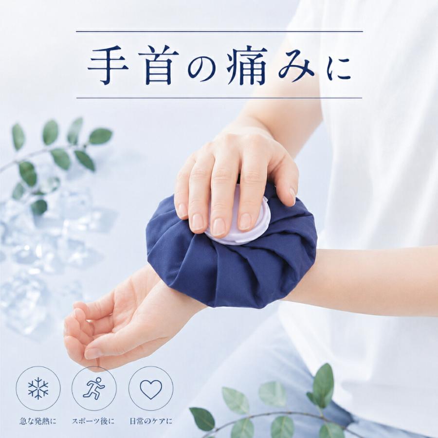 氷嚢 氷のう アイシング アイスバッグ アイシングバッグ スポーツ 氷嚢 アイシング用バッグ クールバッグ 熱中症対策 猛暑対策 夏バテ対策 グッズ 首 肩 膝 冷却 |  | 03