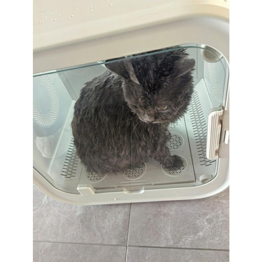 ペットドライルーム 犬用 猫用 ペットドライヤールーム ペット乾燥機 ドライボックス 自動乾燥 温度調整 毎日のケア用品 小型犬 中型犬 猫対応 多頭飼い シャン |  | 05