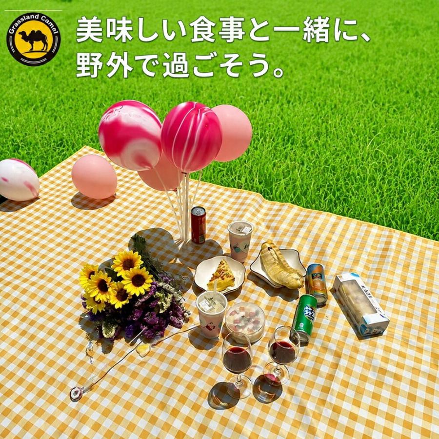 屋外ピクニックマット チェック レジャーシート ピクニックシート アウトドアマット レジャーマット ピクニック用品 アウトドア用品 レジャーグッズ 外遊びグッ |  | 02