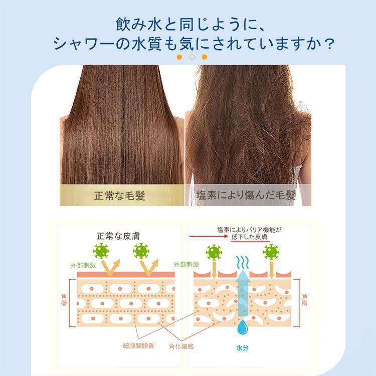 シャワーフィルター 3個10層フィルター お風呂浄水器 99%塩素除去 10層シャワーフィルター 浄水器 G1/2 シャワ |  | 05