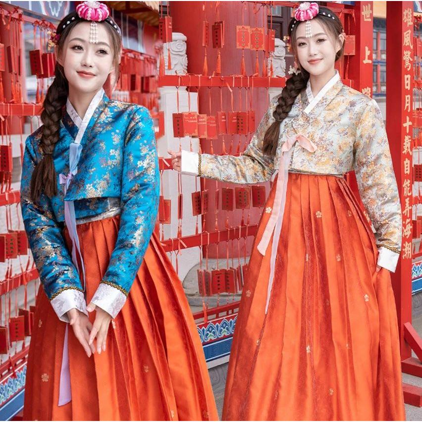 韓服 チマチョゴリ 女性 大人用 韓国風ドレス 韓国伝統民族衣装 韓流 